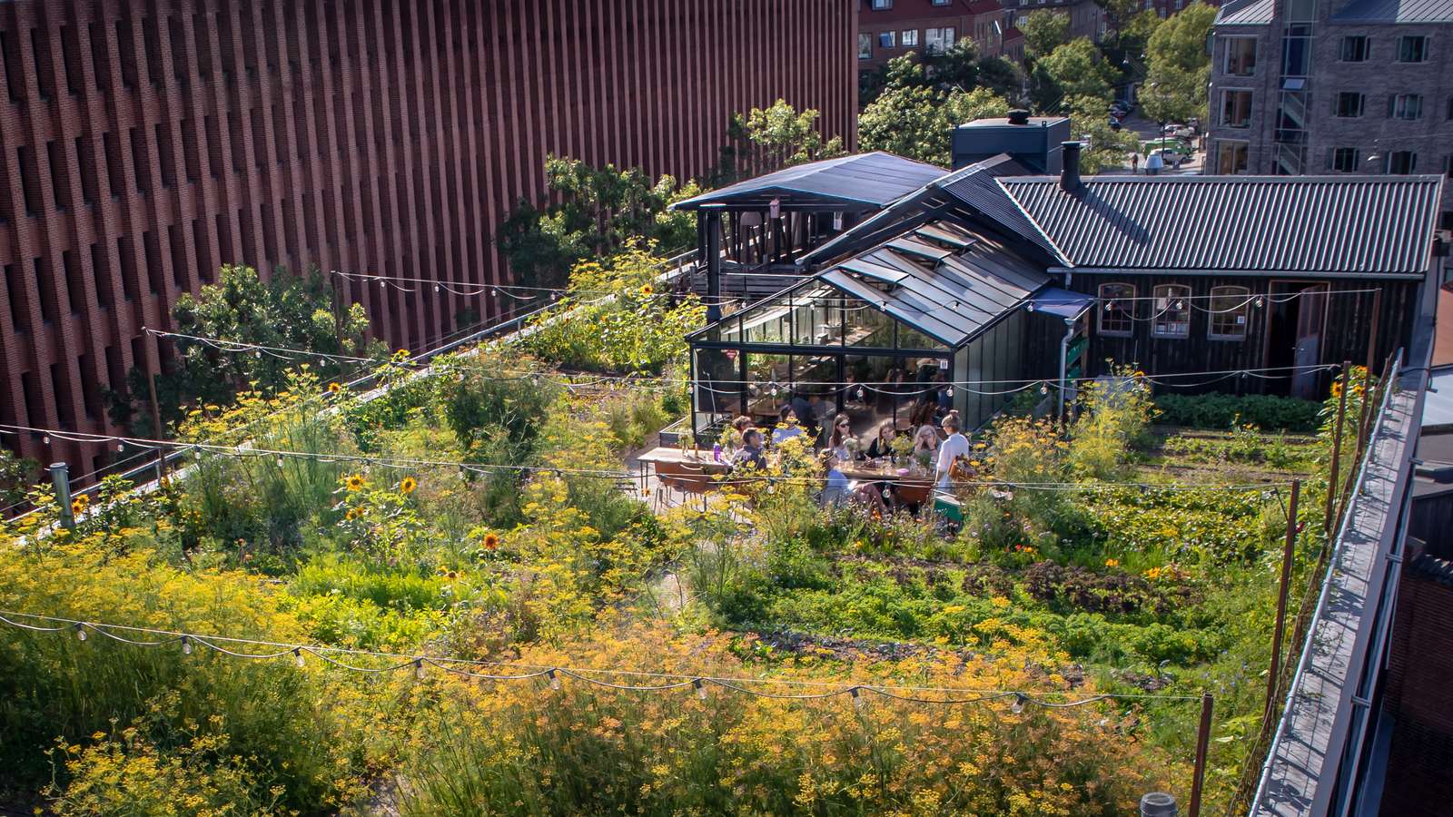 Gro Spiseri | Giuseppe Liverino