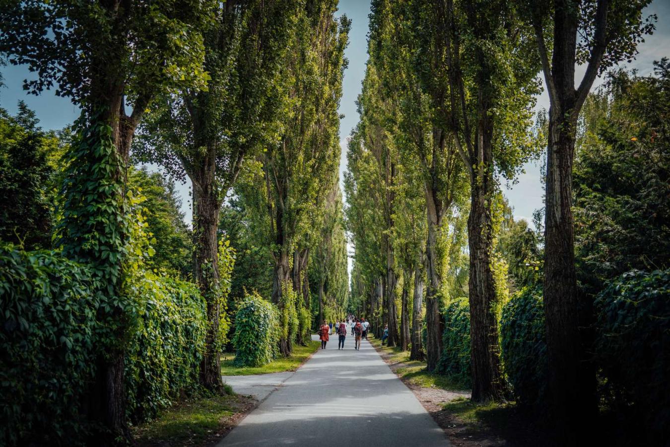 Assistens Cemetery | Simon Bang