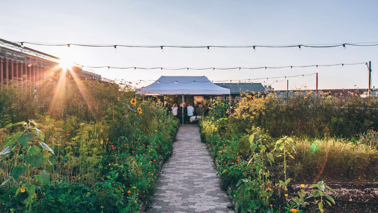 GRO Spiseri and rooftop farm in Østerbro