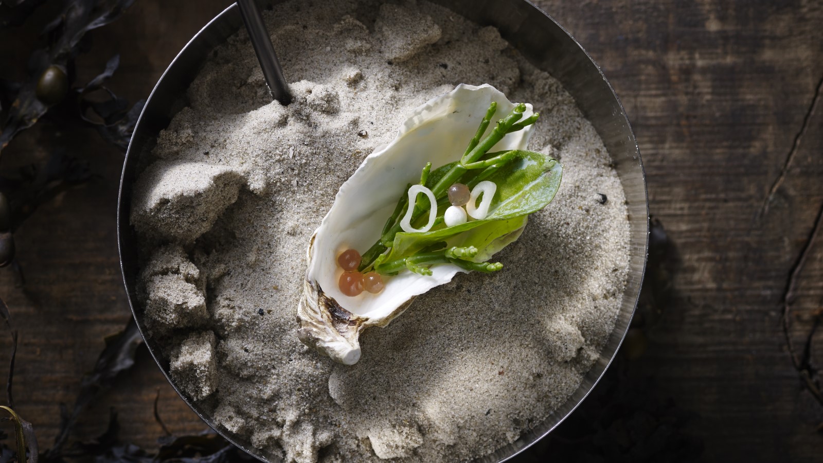 VeVe oyster | Henrik Yde