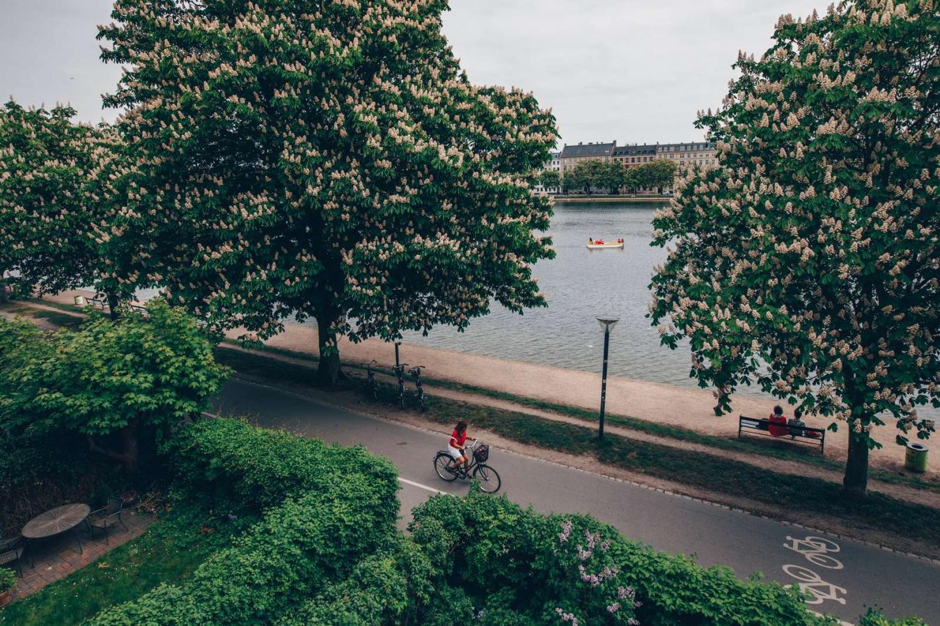 Biking in Copenhagen by the lakes