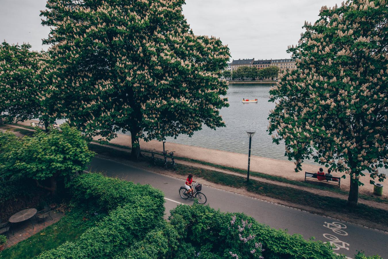 The Lakes in Copenhagen
