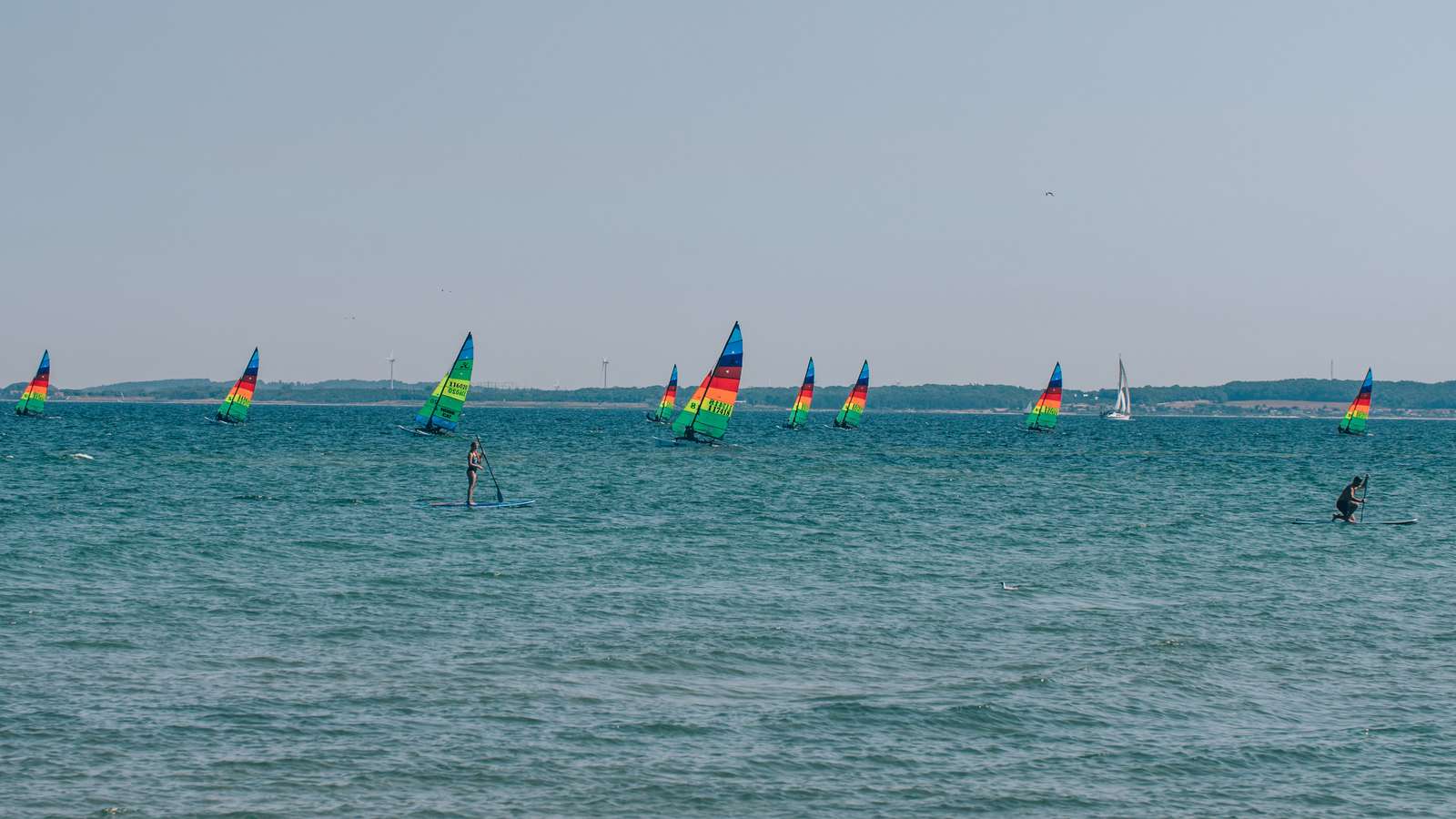 Hornbæk Hobie cats | Daniel Rasmussen
