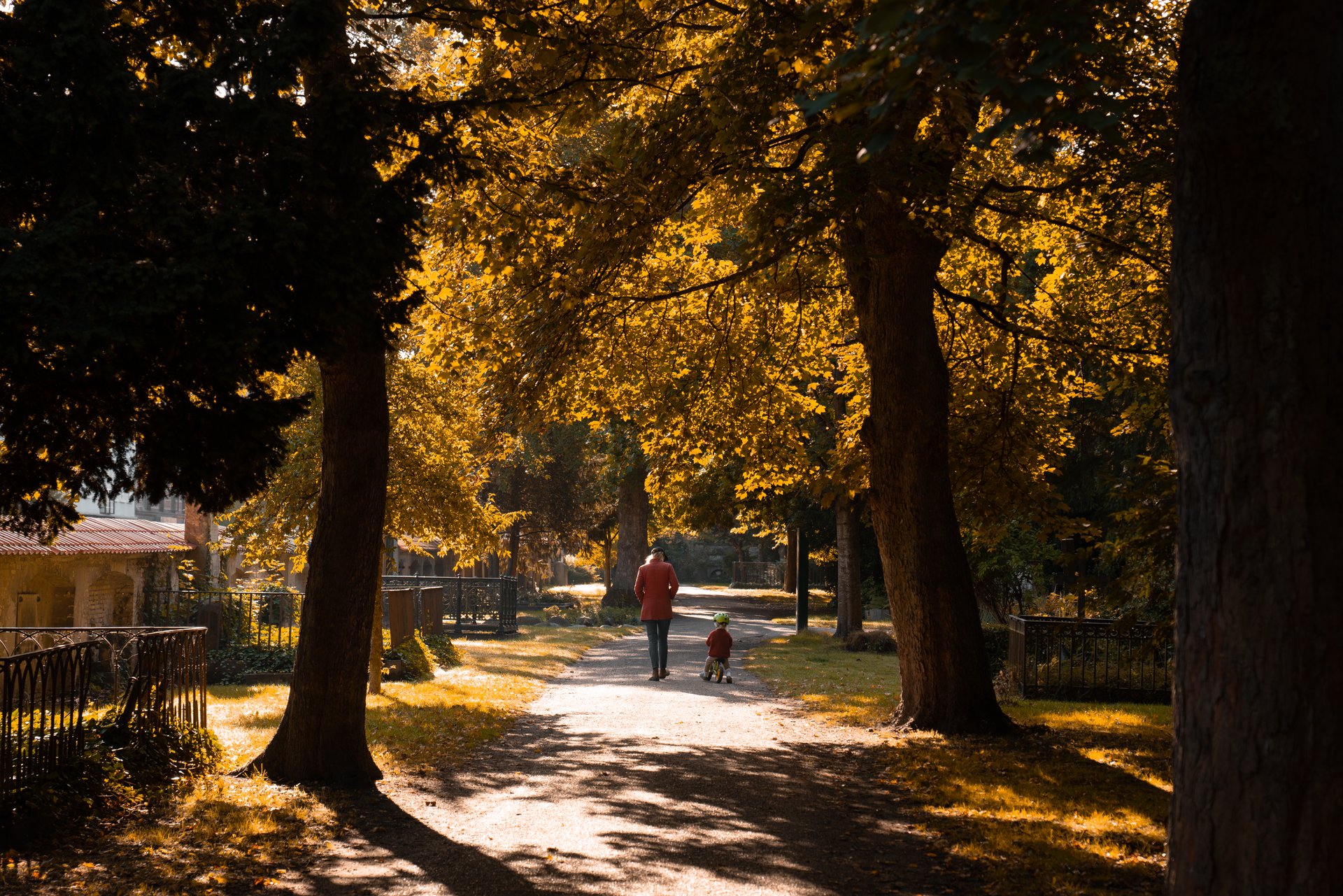 Assistens kirkegården