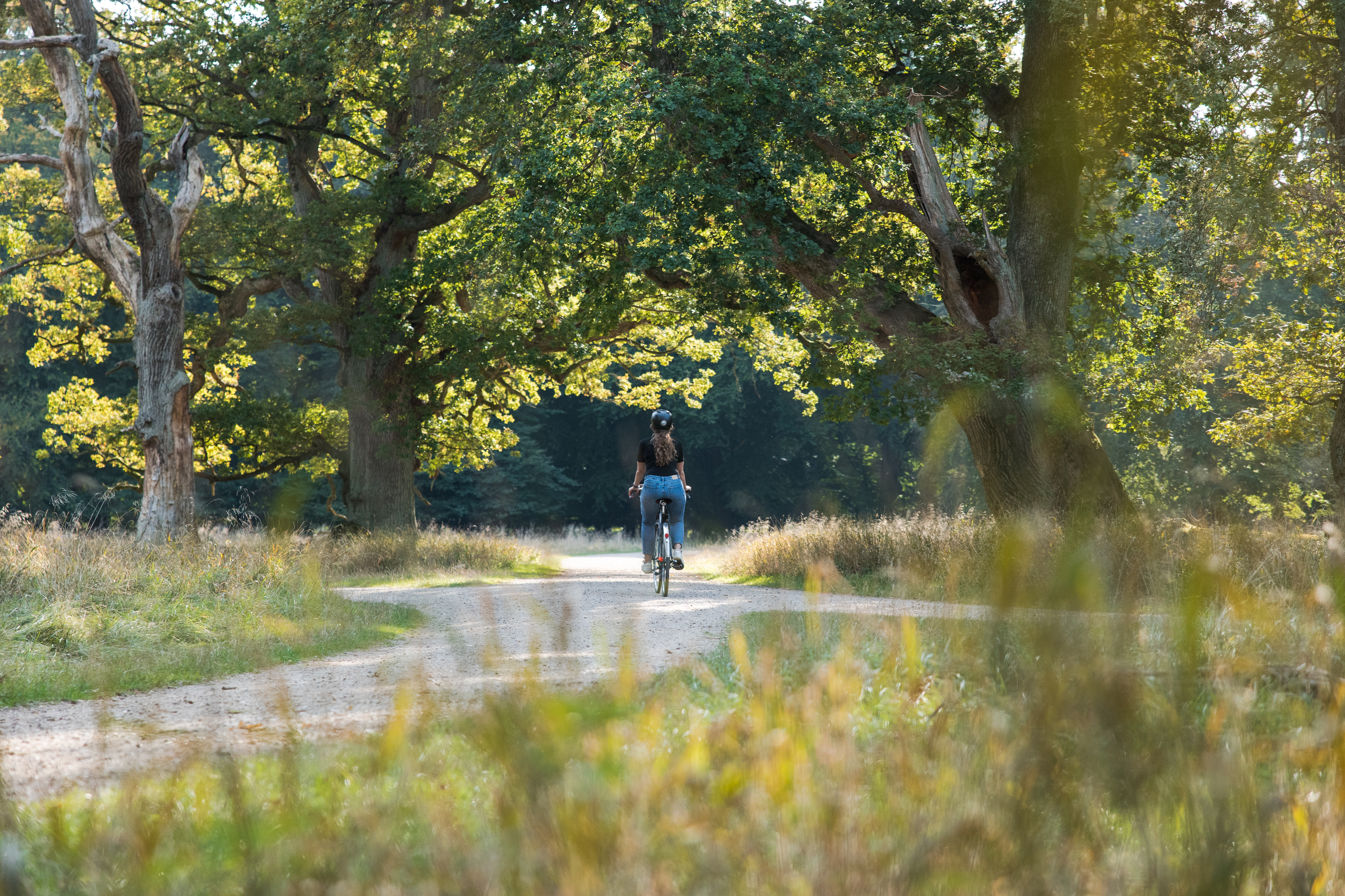 Bike ride in Dyrehaven