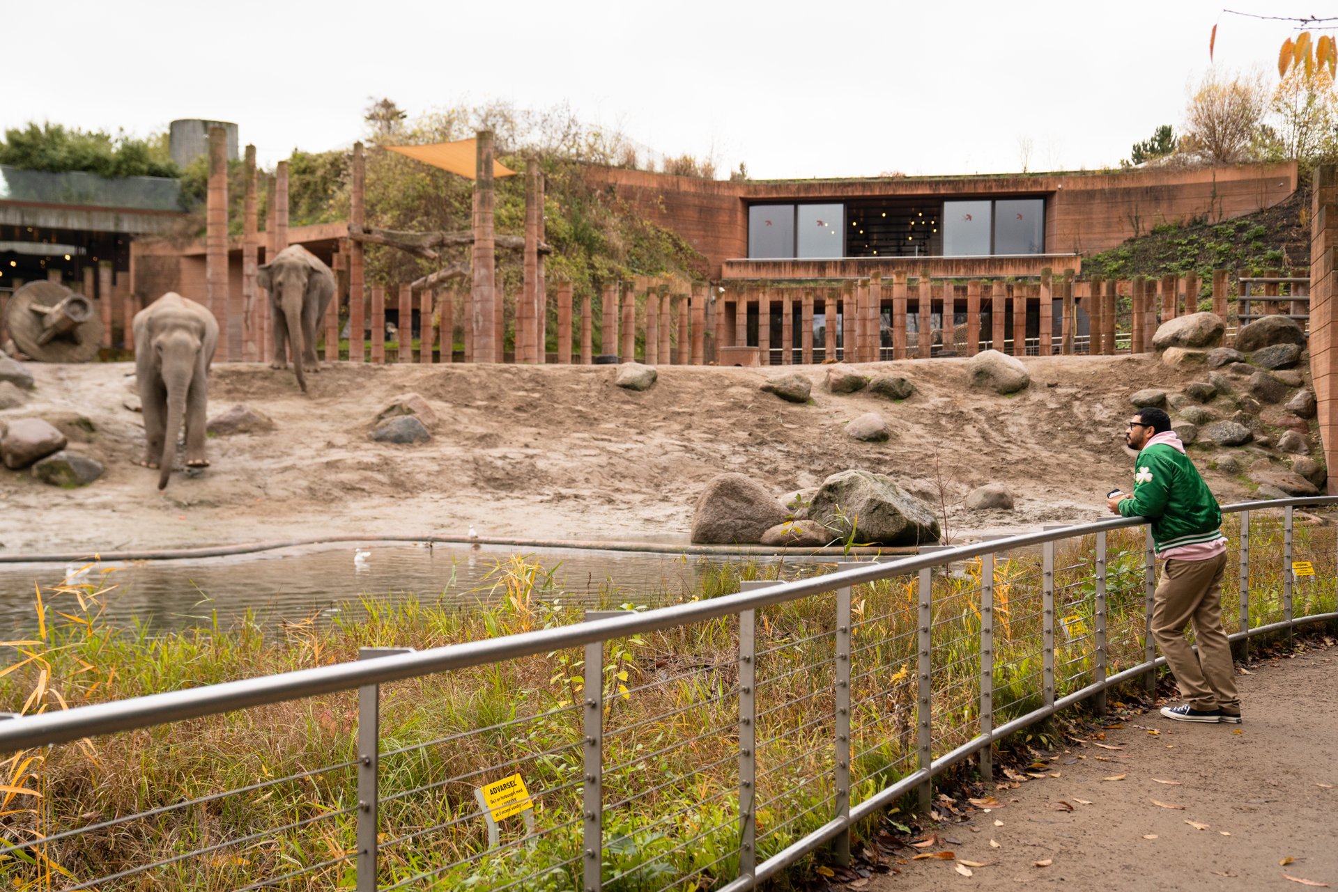 Elephants in Frederiksberg have