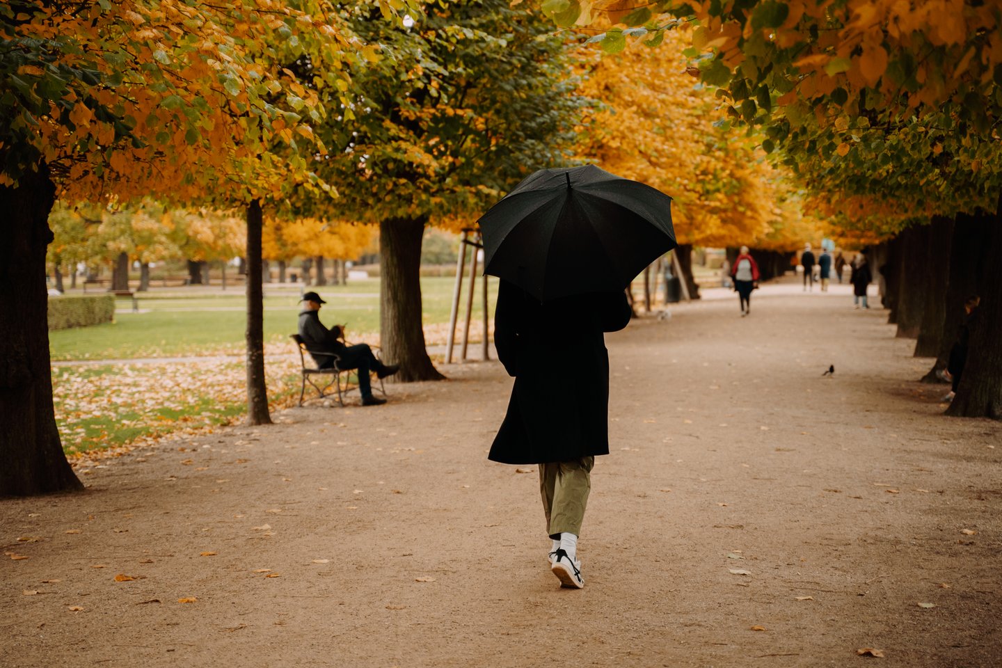 Autumn - Kongens Have