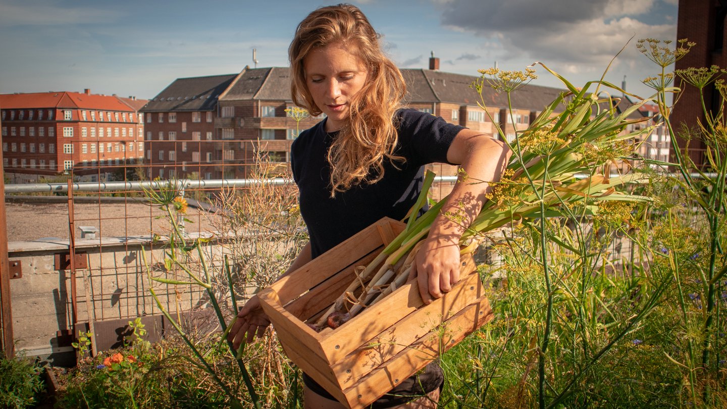 Gro Spiseri Østerbro Copenhagen København økologisk organic